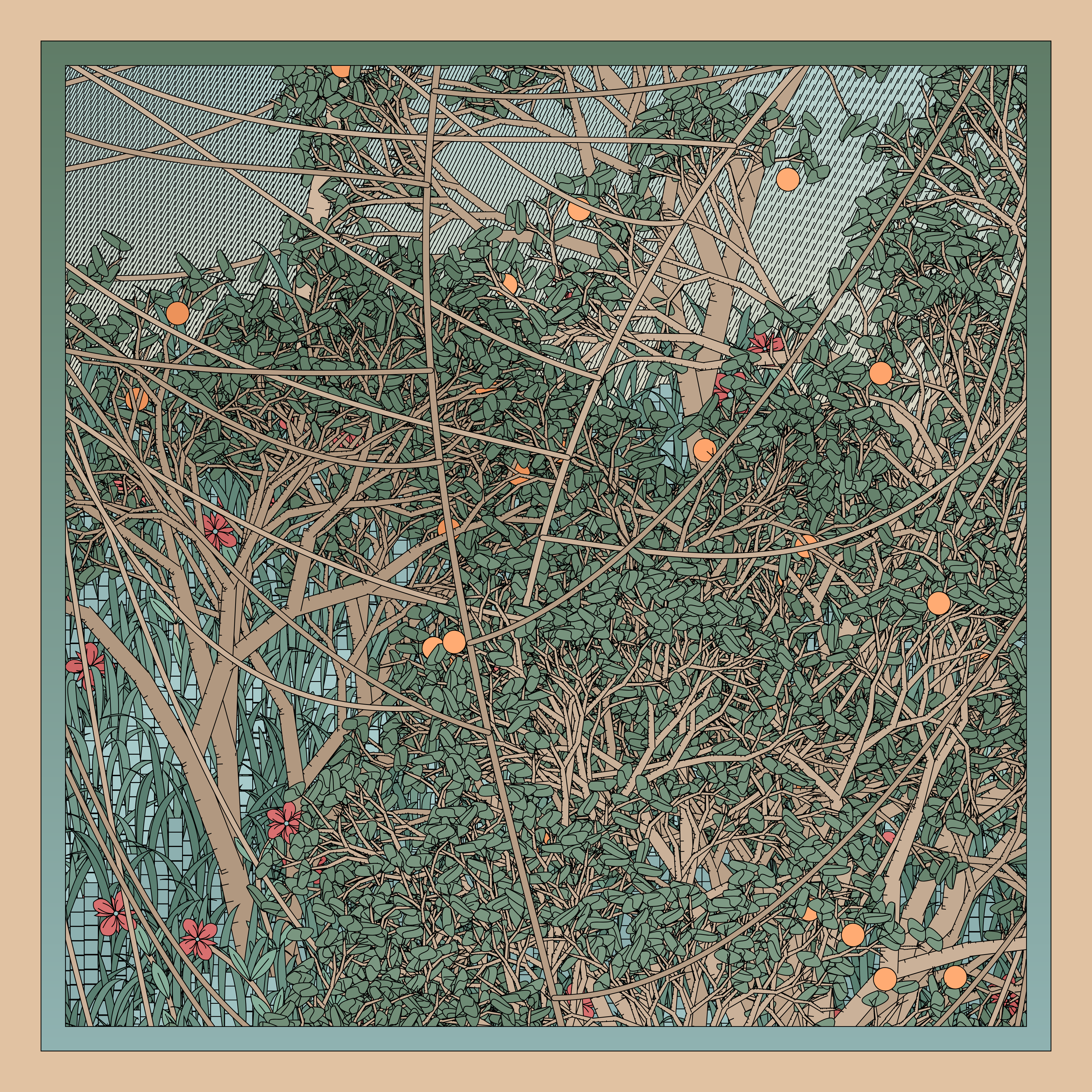 Entangled #38
