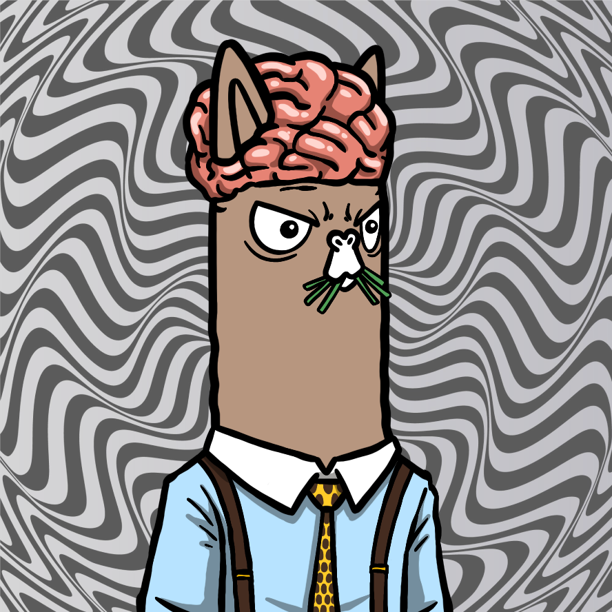 Dreamer Alpie