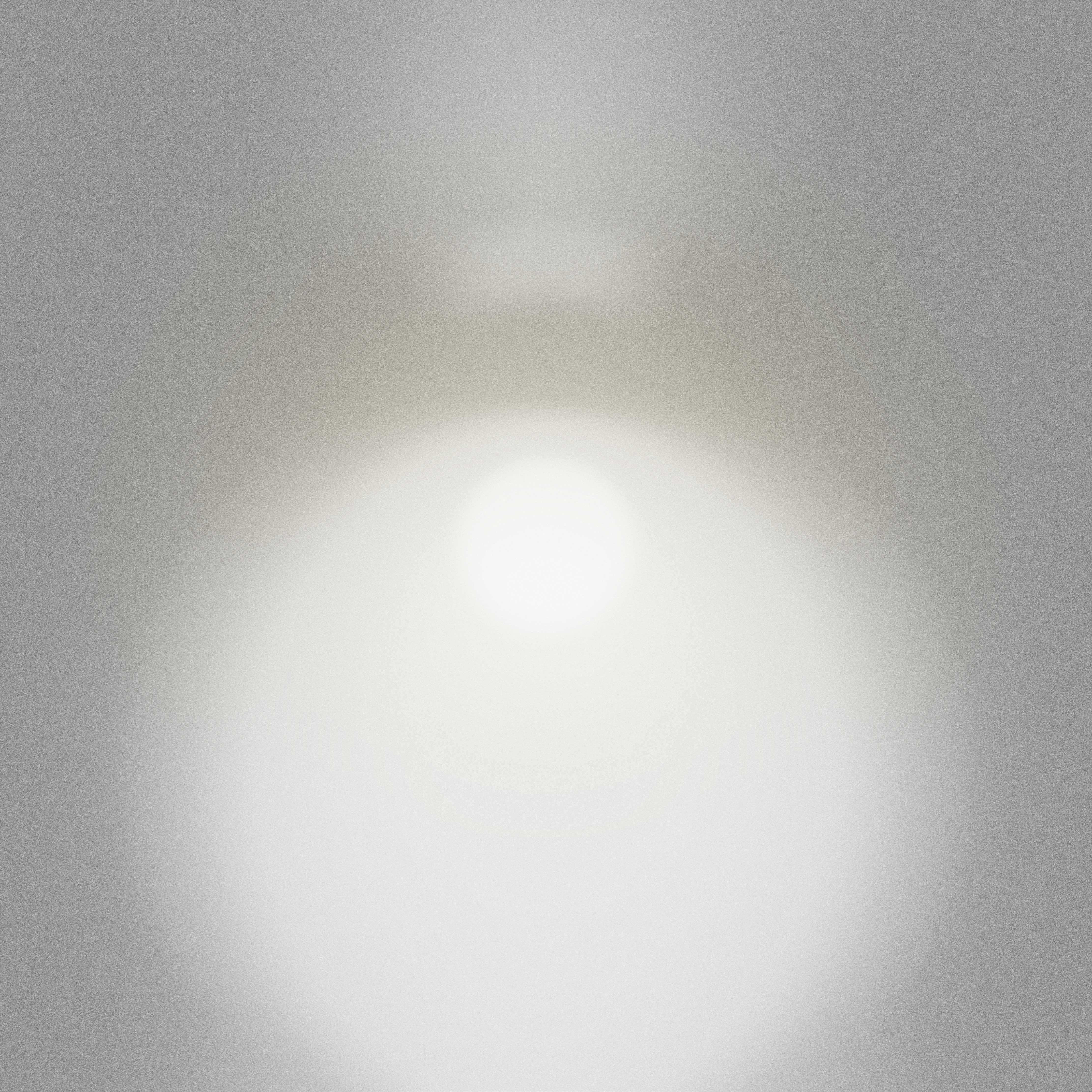 with the light 88