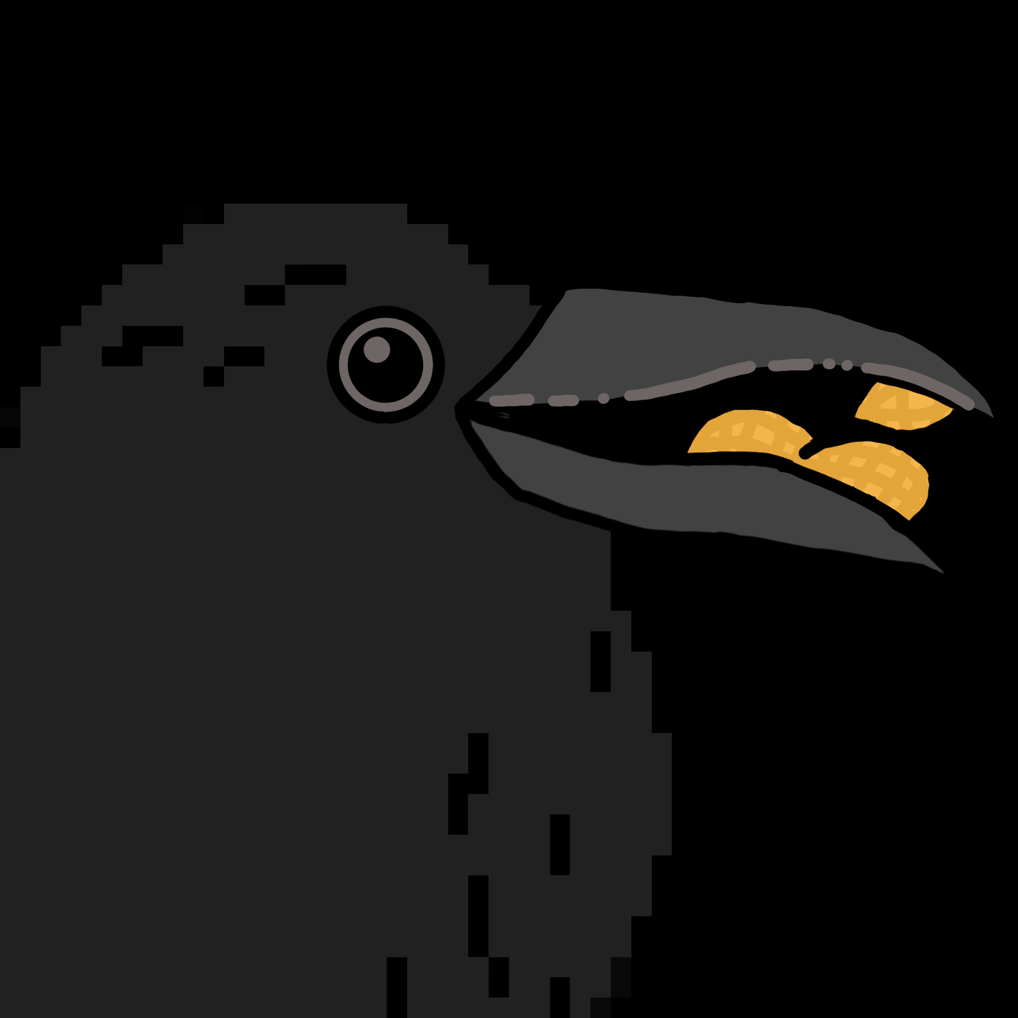 Crow Friends #165