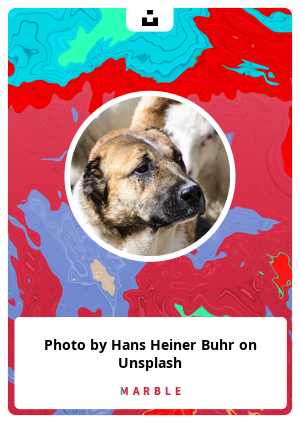 Photo by Hans Heiner Buhr on Unsplash