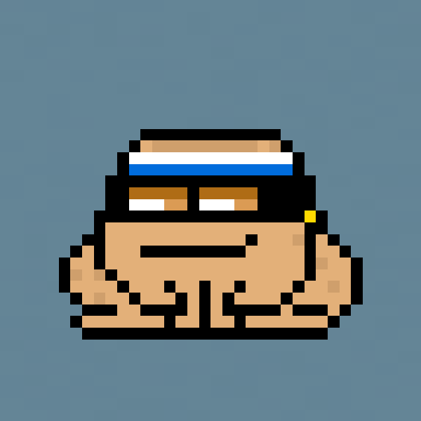 Toad Punks #4041