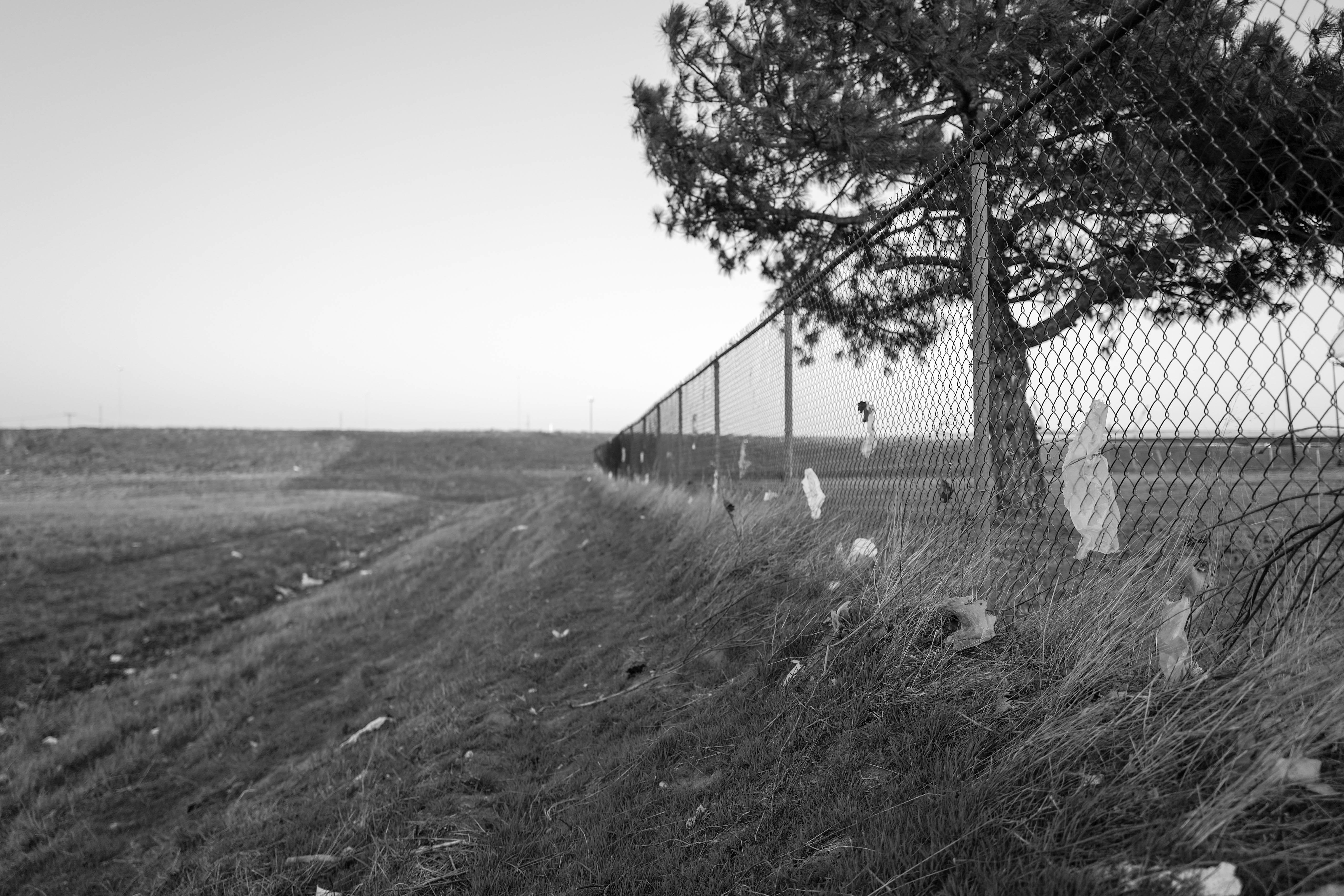 Windswept, Wichita, 2018