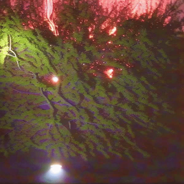 red eyed monster what the fuck