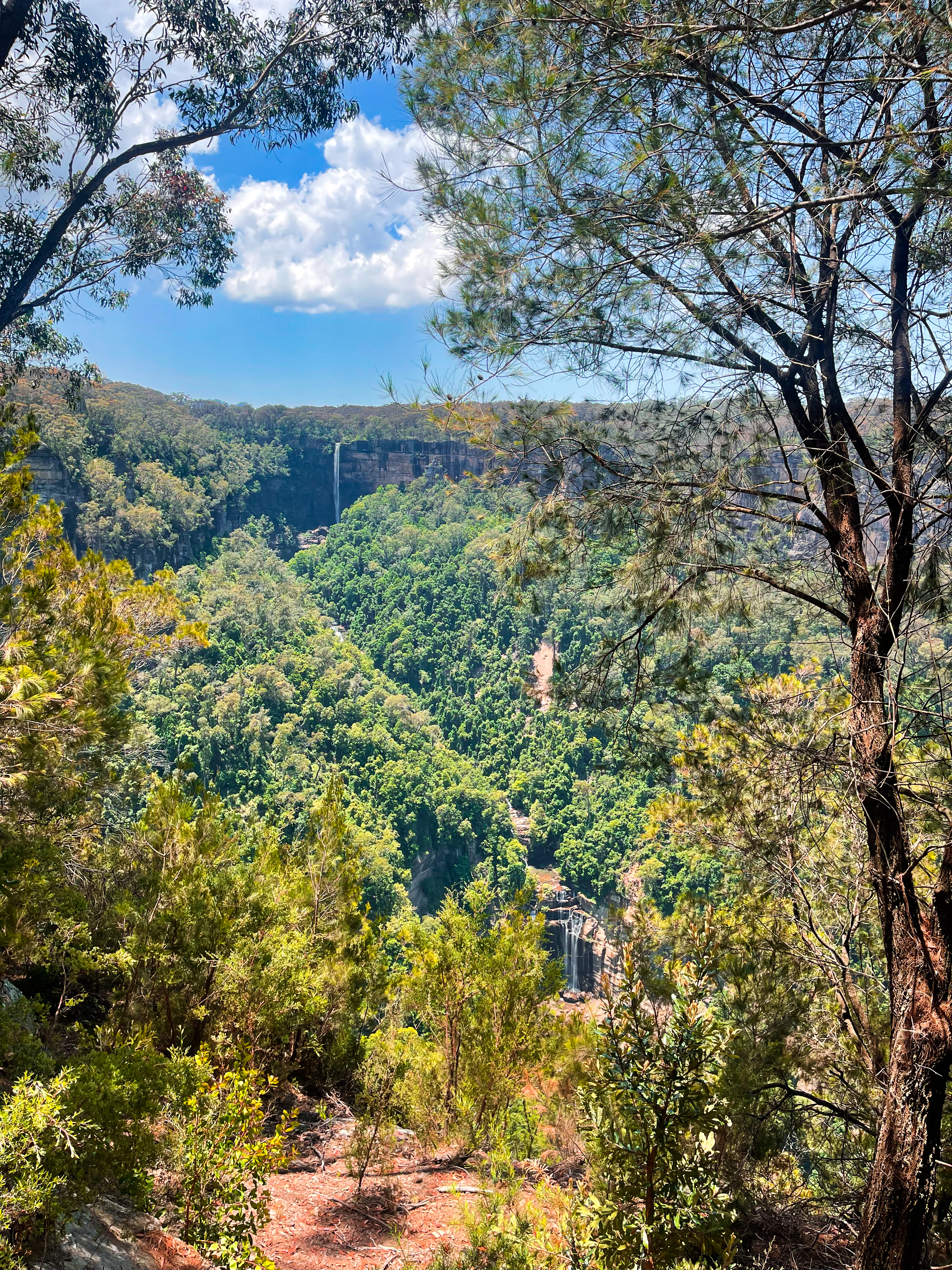 Wild Australia #20