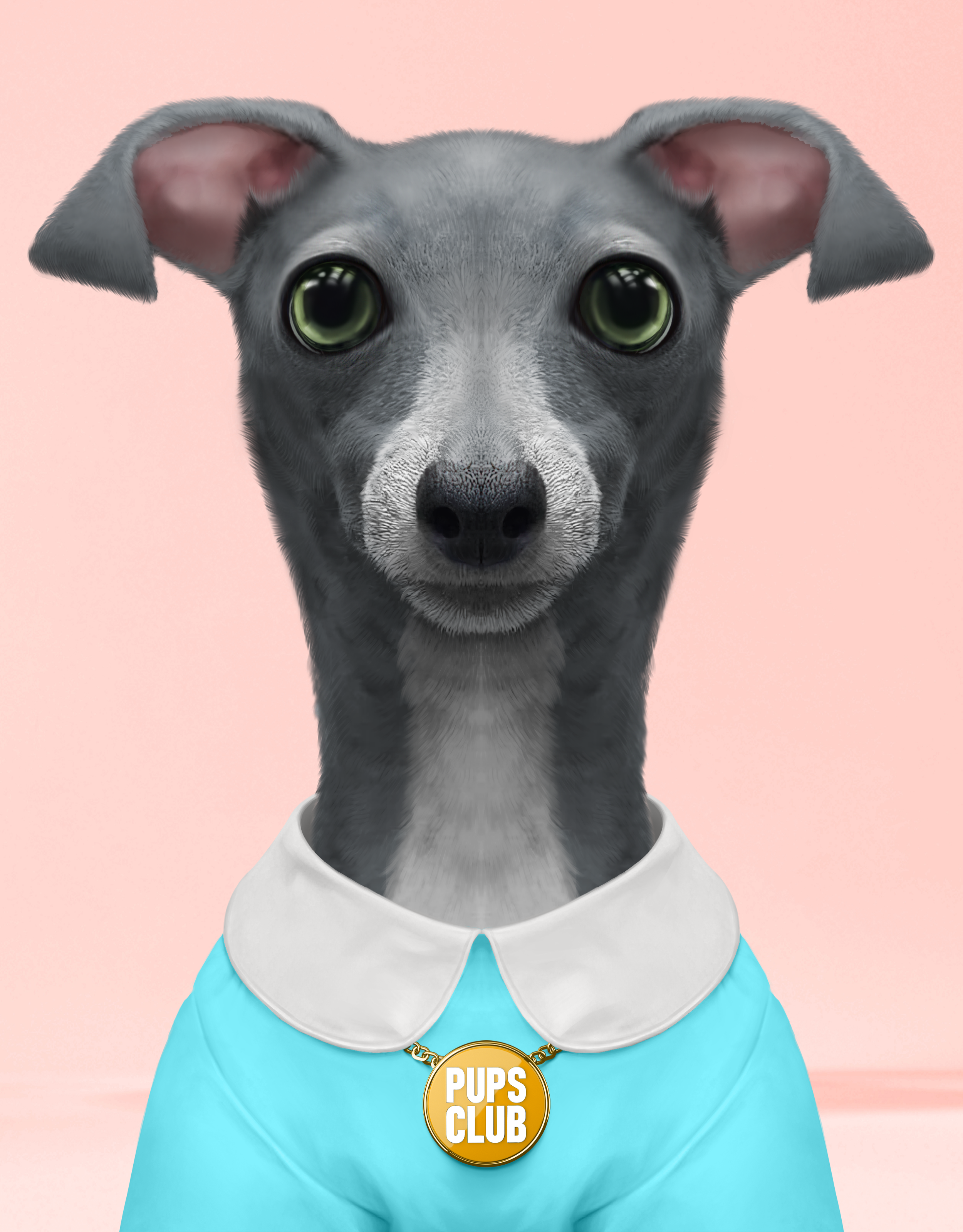 Pup #8246
