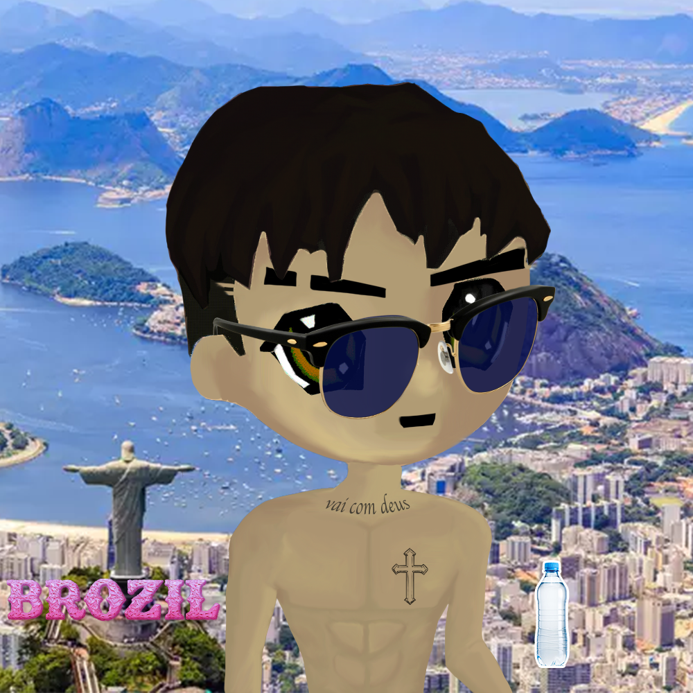 radbro brazil #219