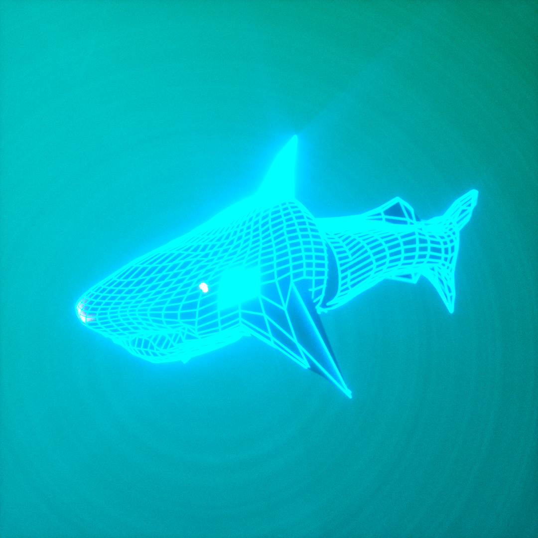 Crypto Art Shark