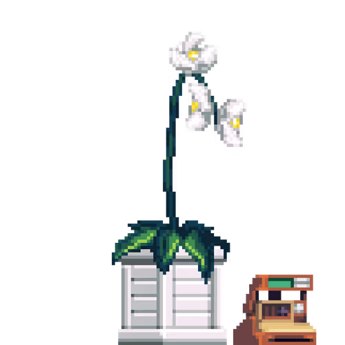 White Orchid in Wood Crate pot with Polaroid Camera