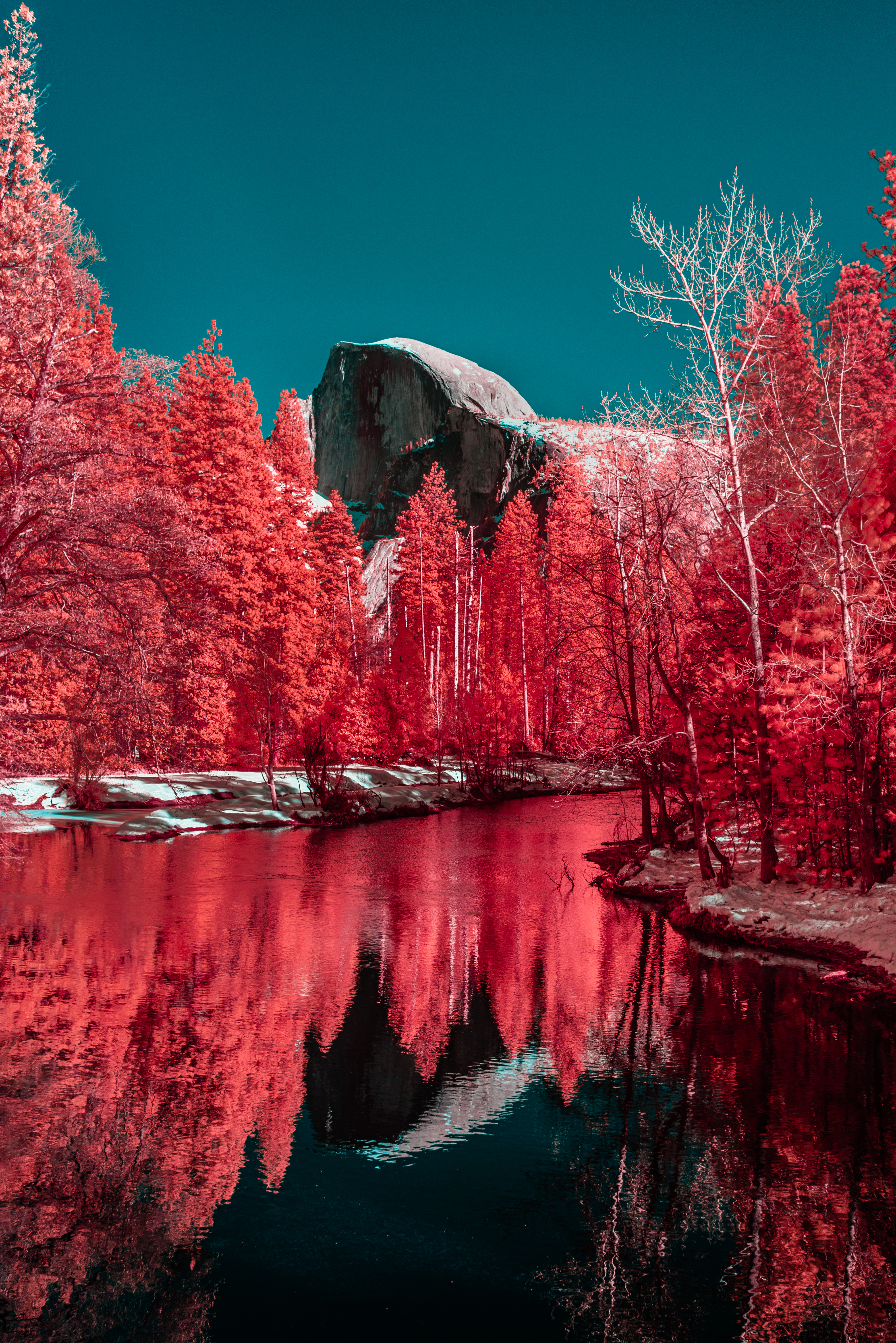 Half dome 