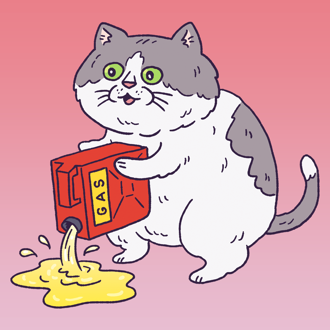 Gas Cat #1698