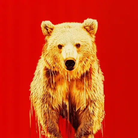 bear #717