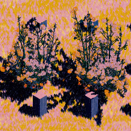Sunlight through Wild Roses #10