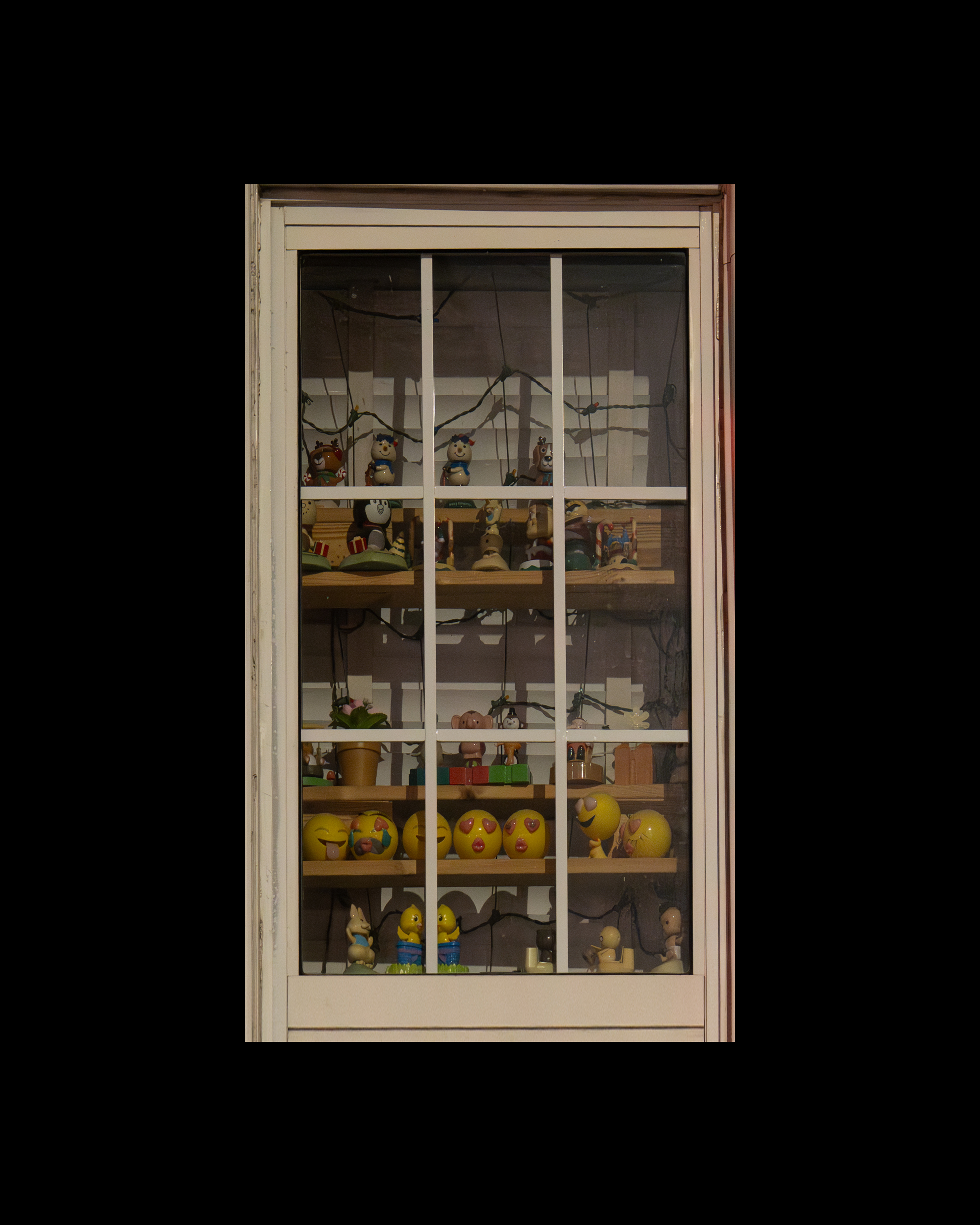 WINDOW 205