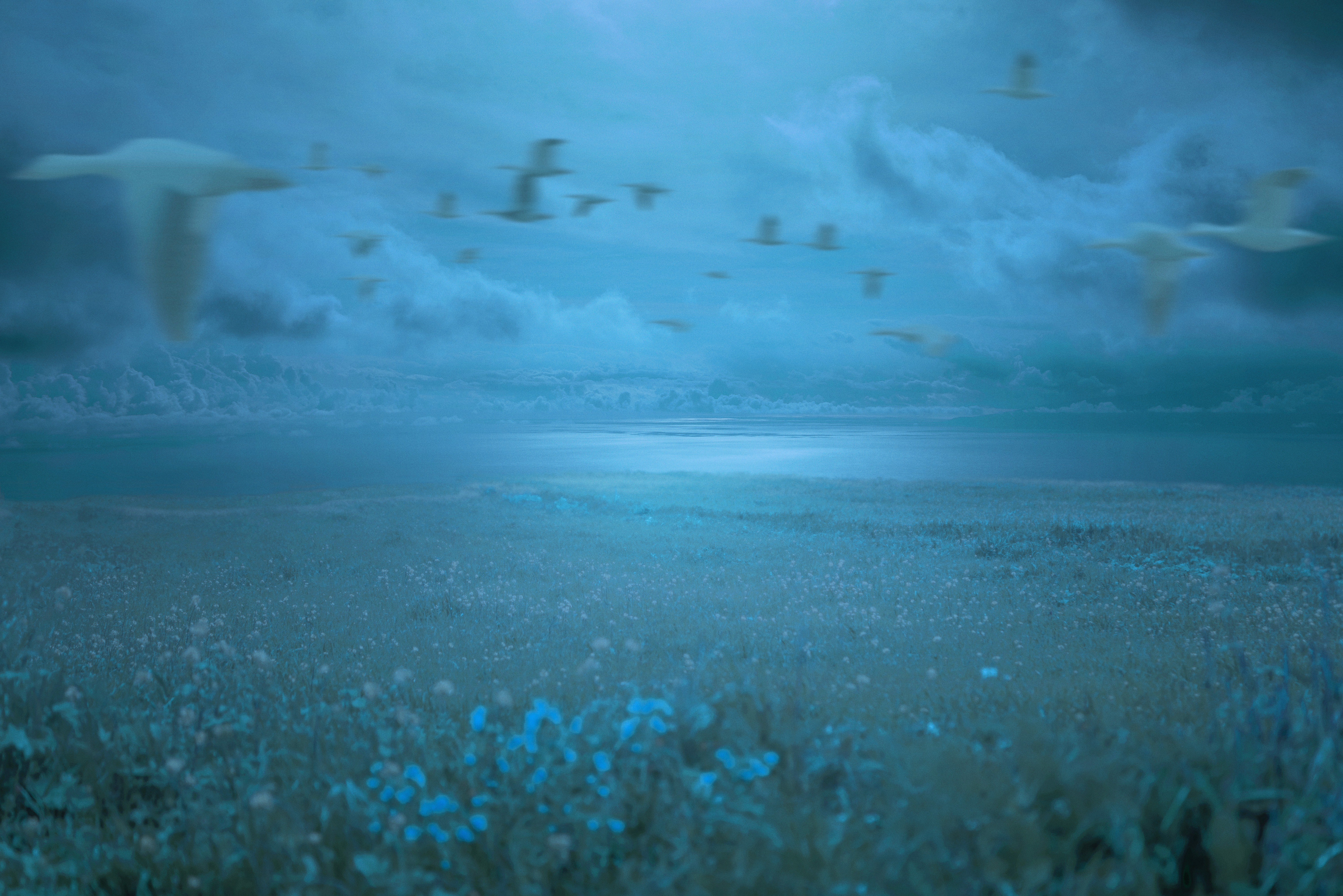 Moonlight Walk