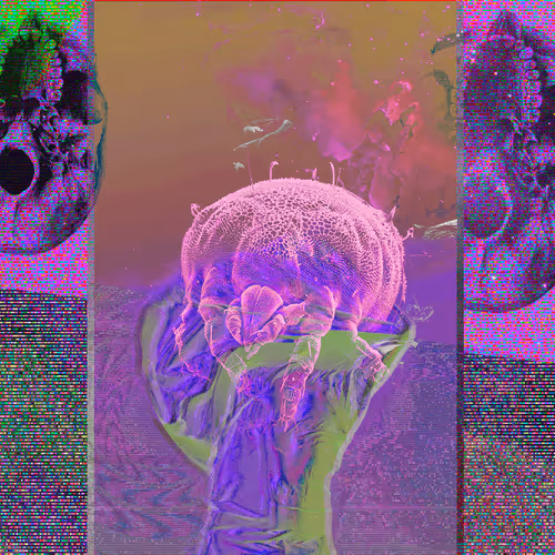 Mite