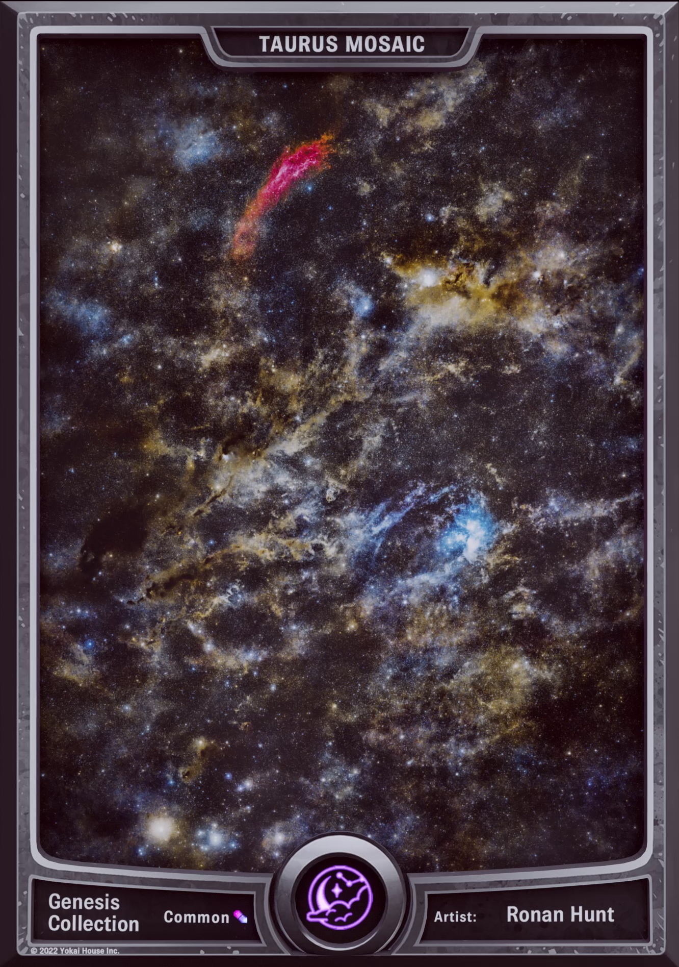 Taurus Mosaic - Ronan Hunt *
