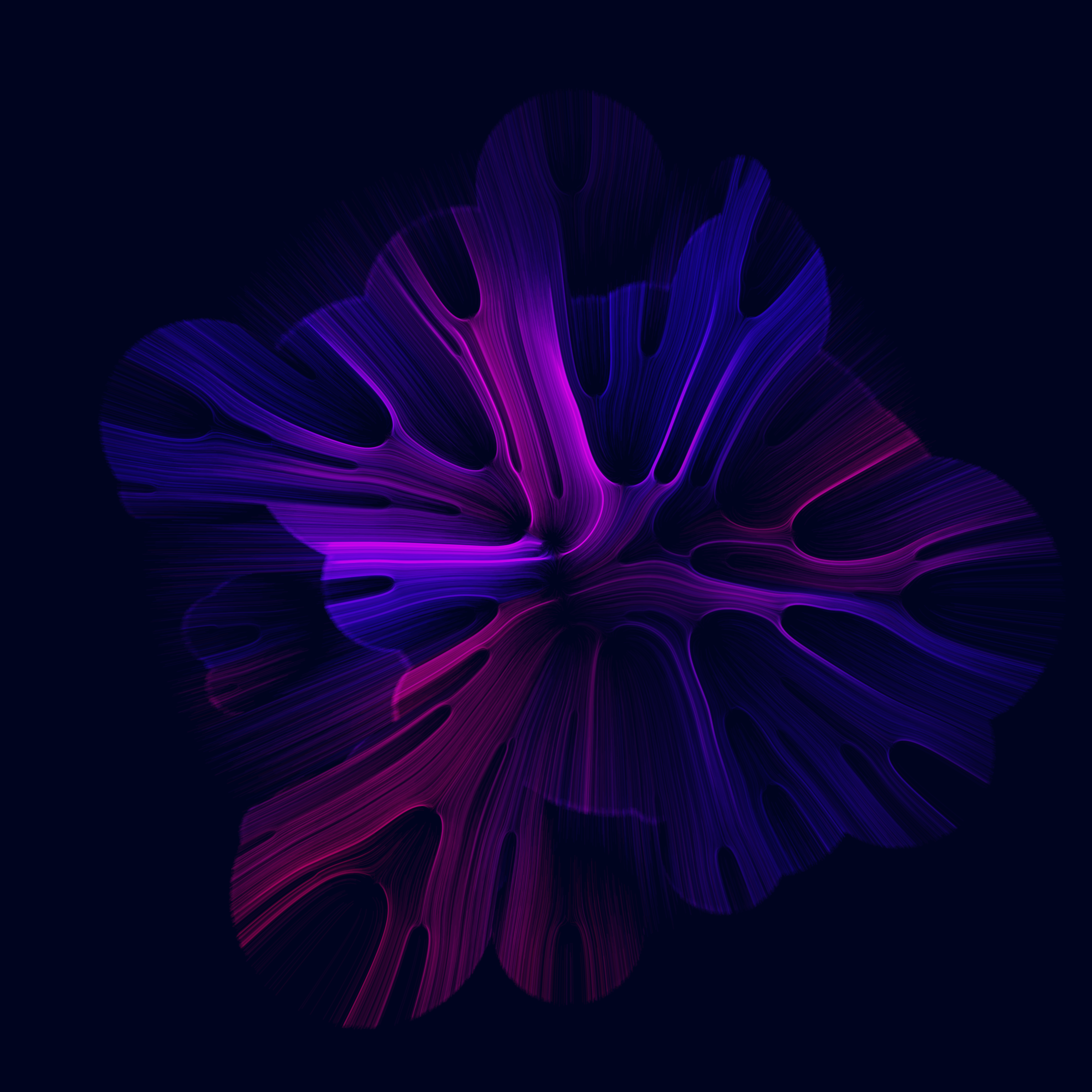 Gravity 16 #463