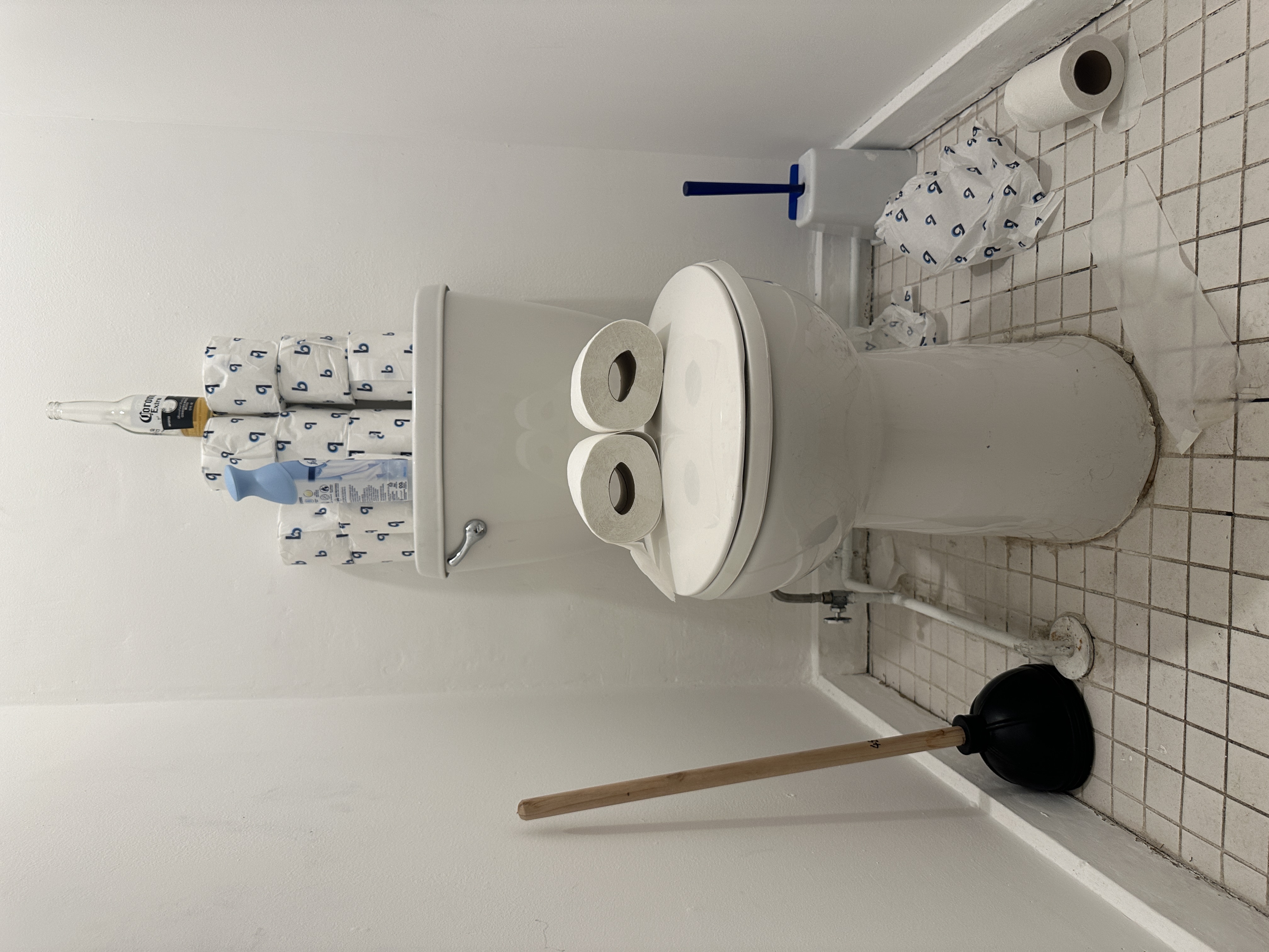 Pepe Toilets NYC #66
