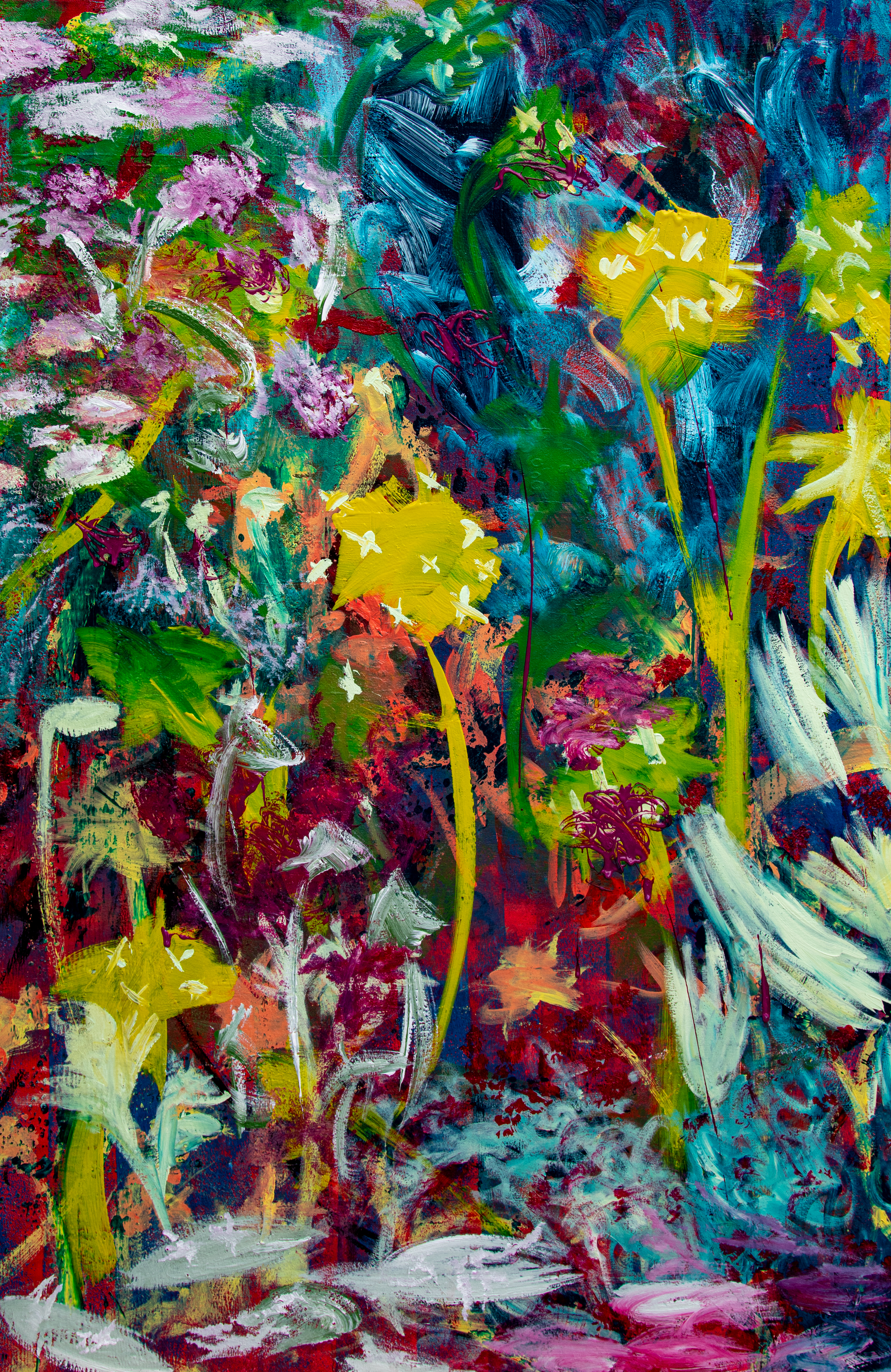 Daffodils