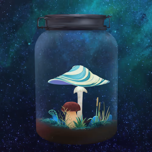 Mushroom #347