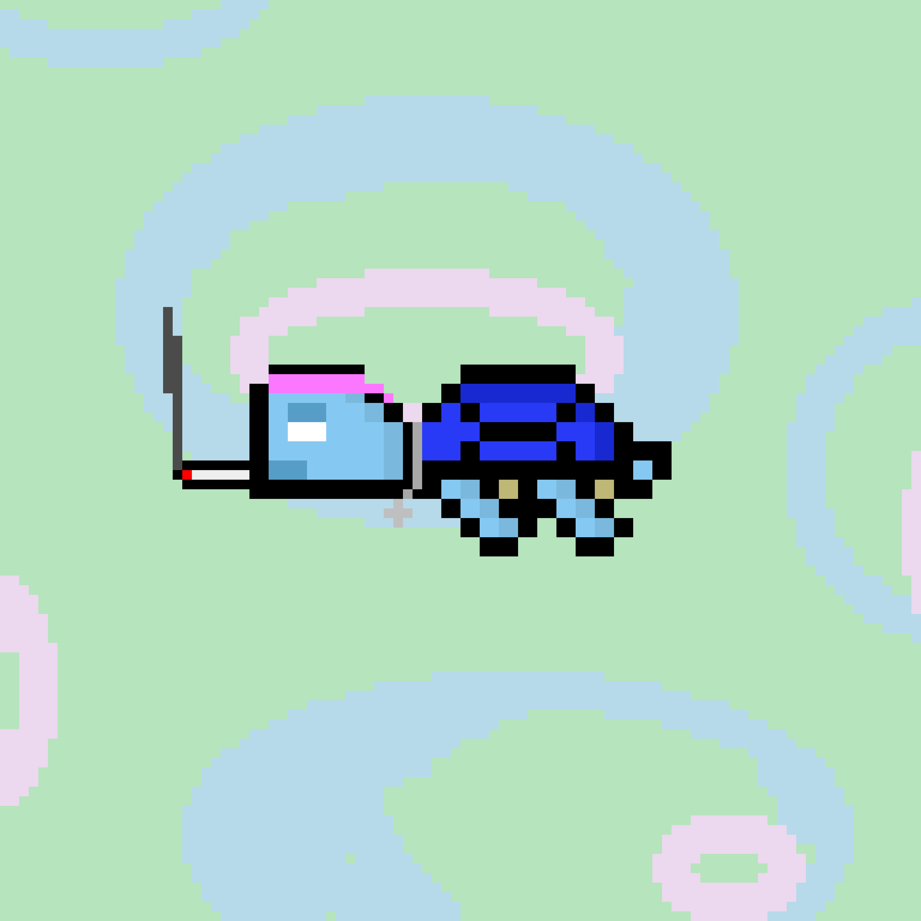 Jail Turtle #347