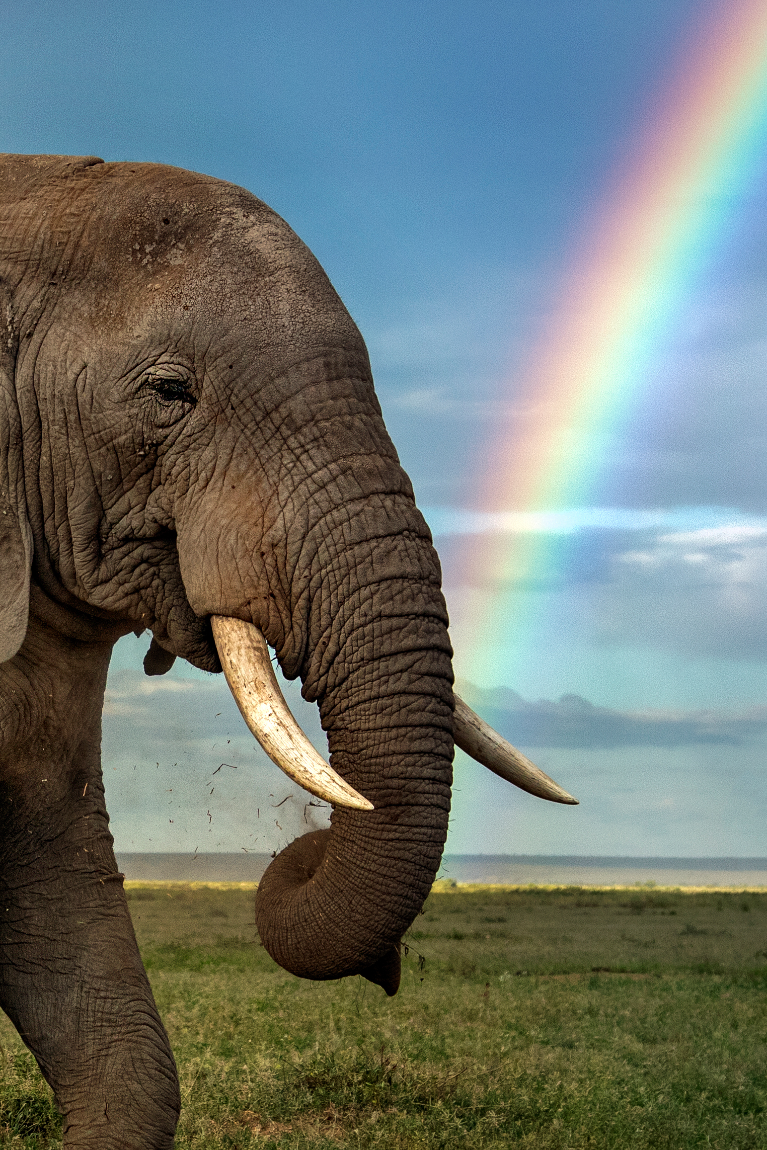 The Rainbow-Eater