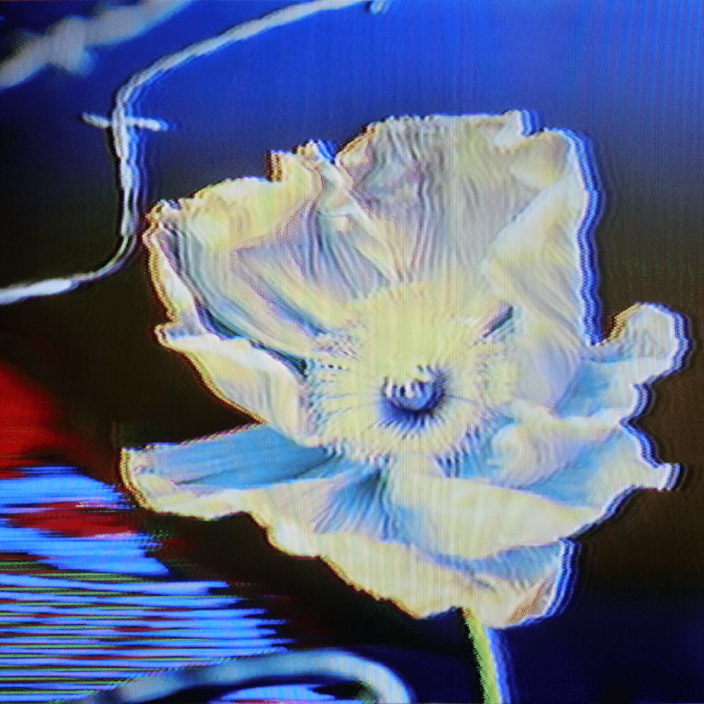 Flower #15