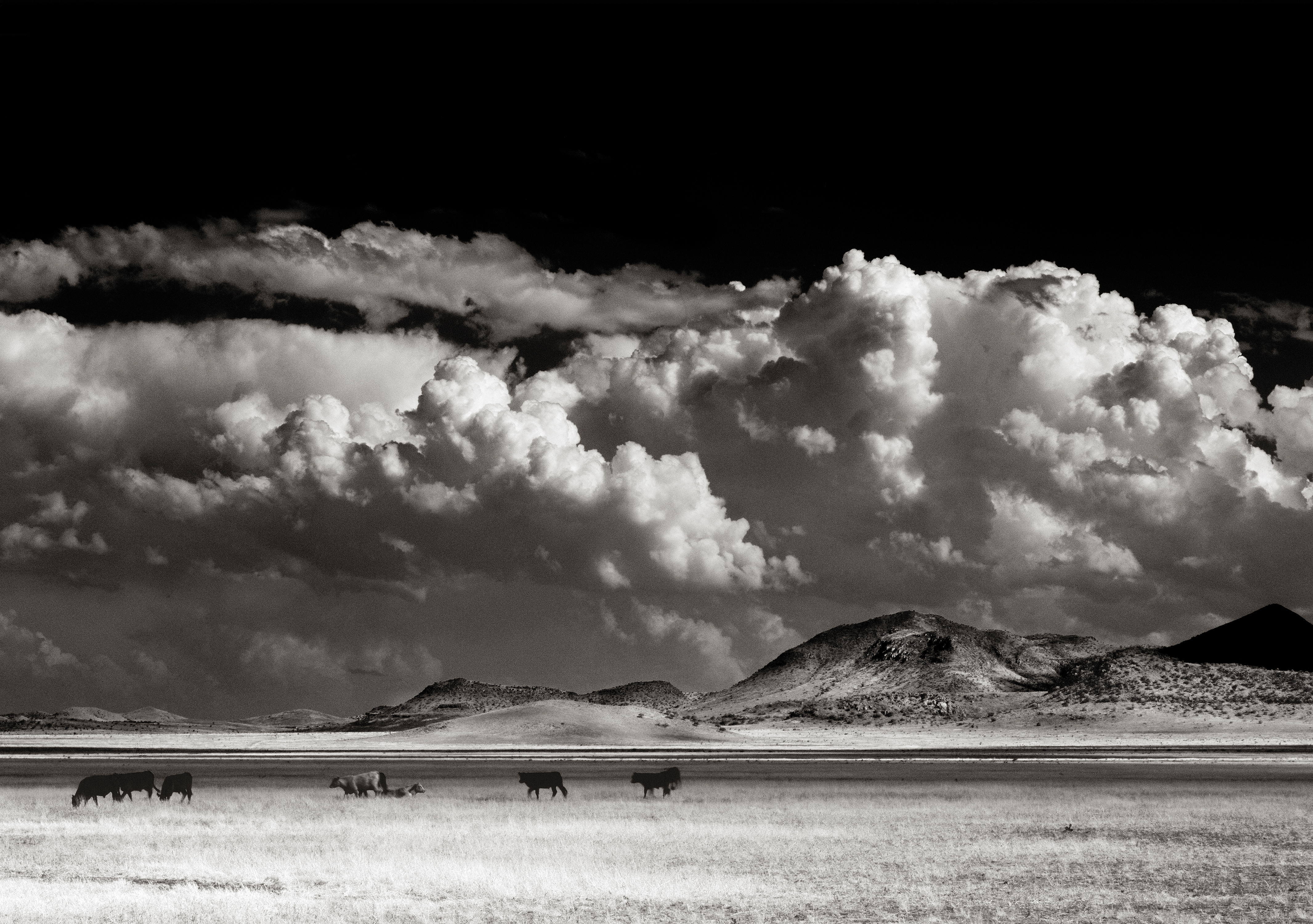 Puercitas Mountains, Marfa, Tx, 2014