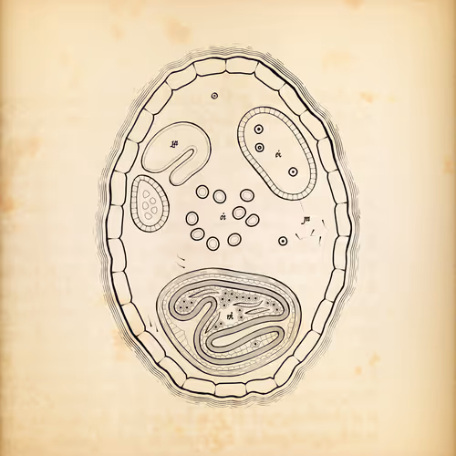 Cytographia #393