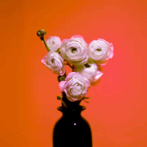 EKTACHROME ORANGE