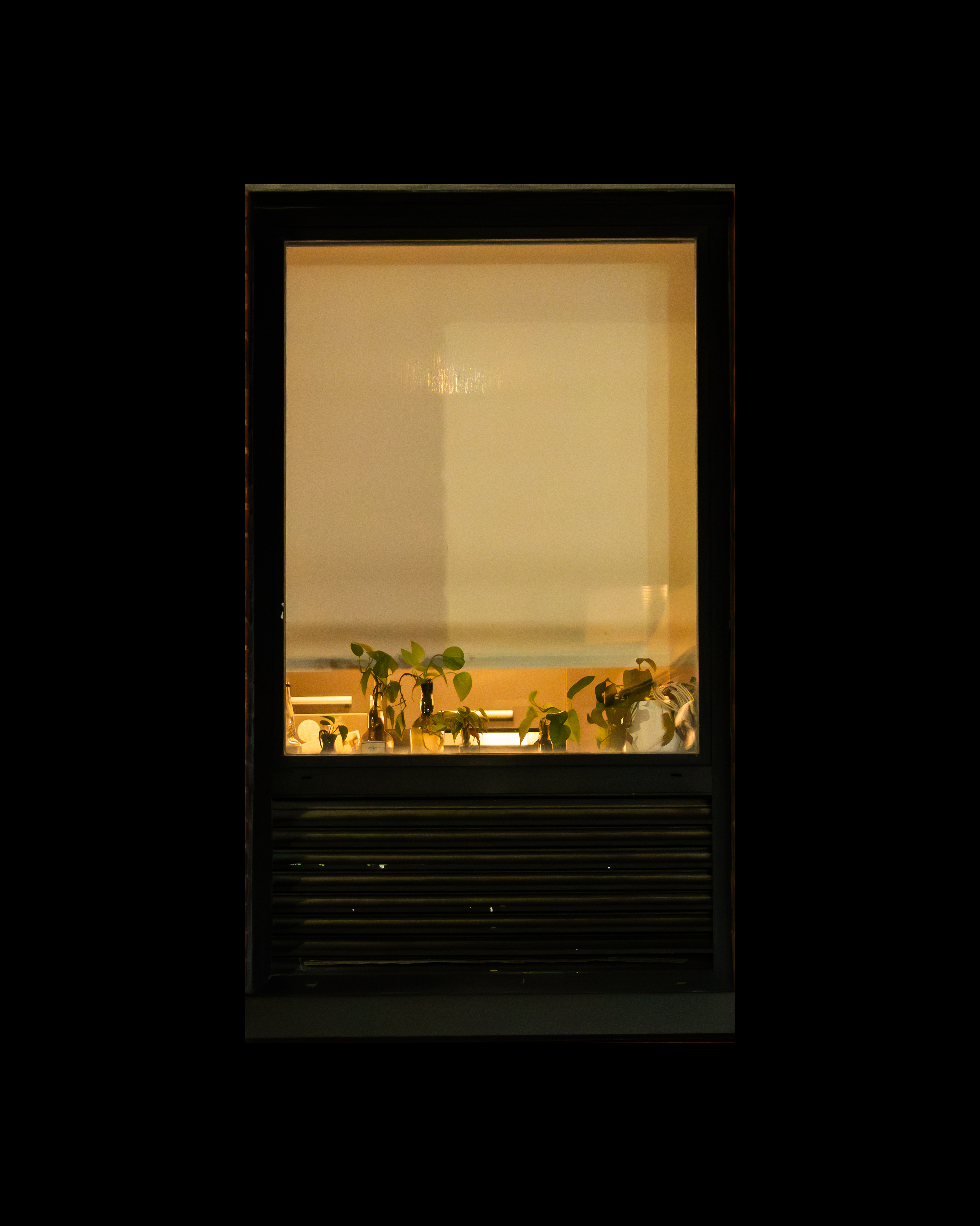 WINDOW 6