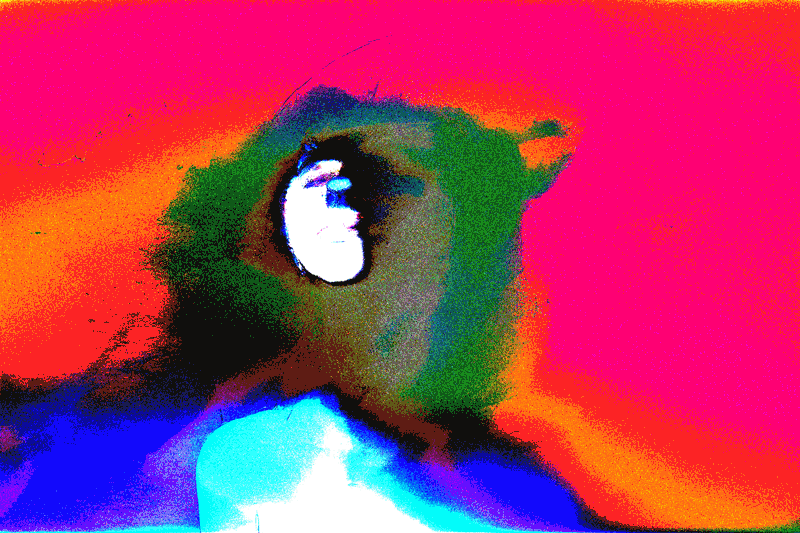 Psilocybin Daydream
