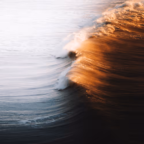 Golden Glow
