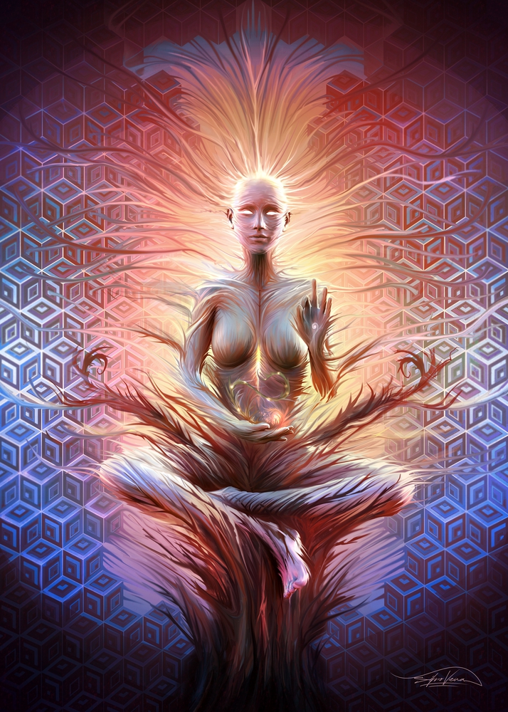 Fireseed