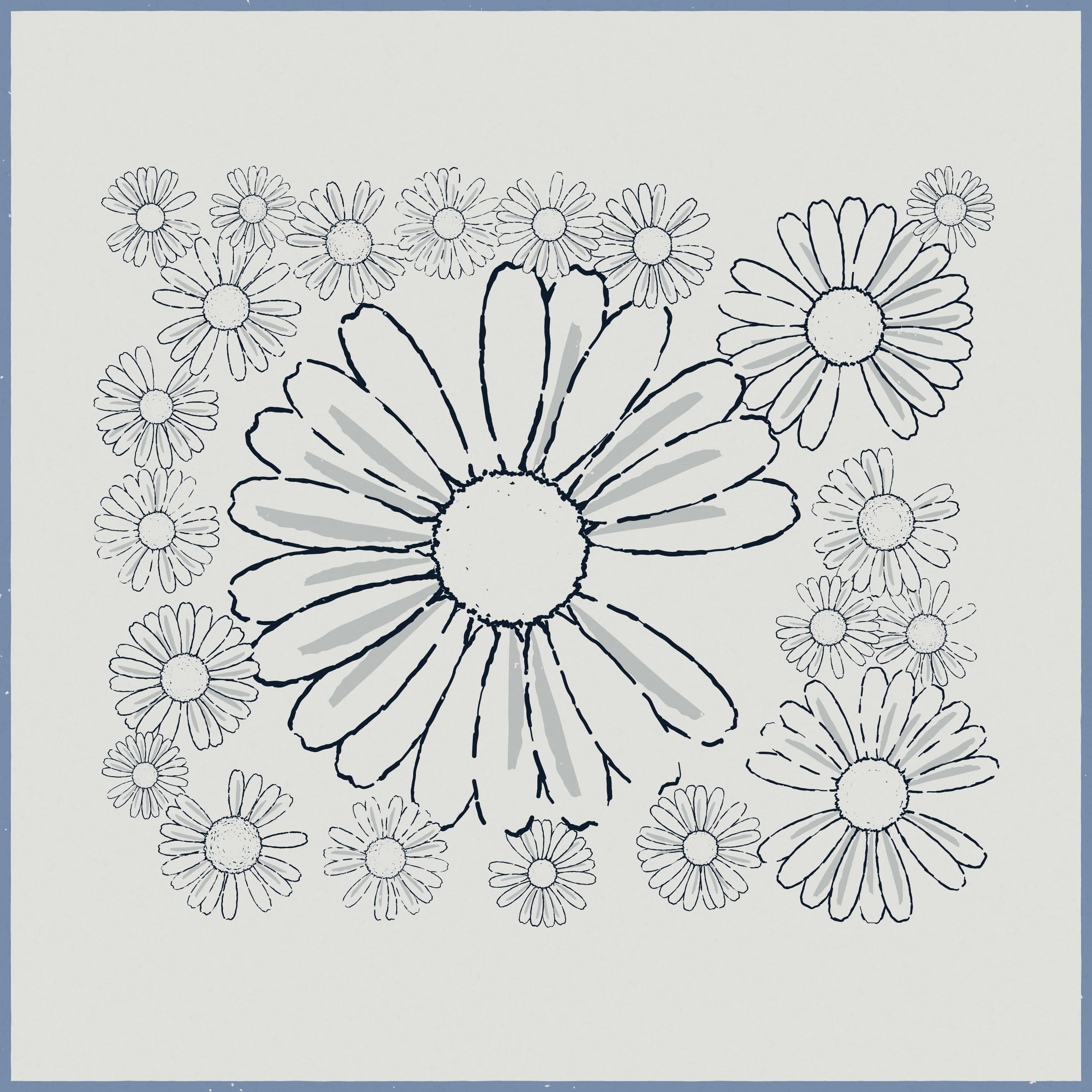 Daisies #164