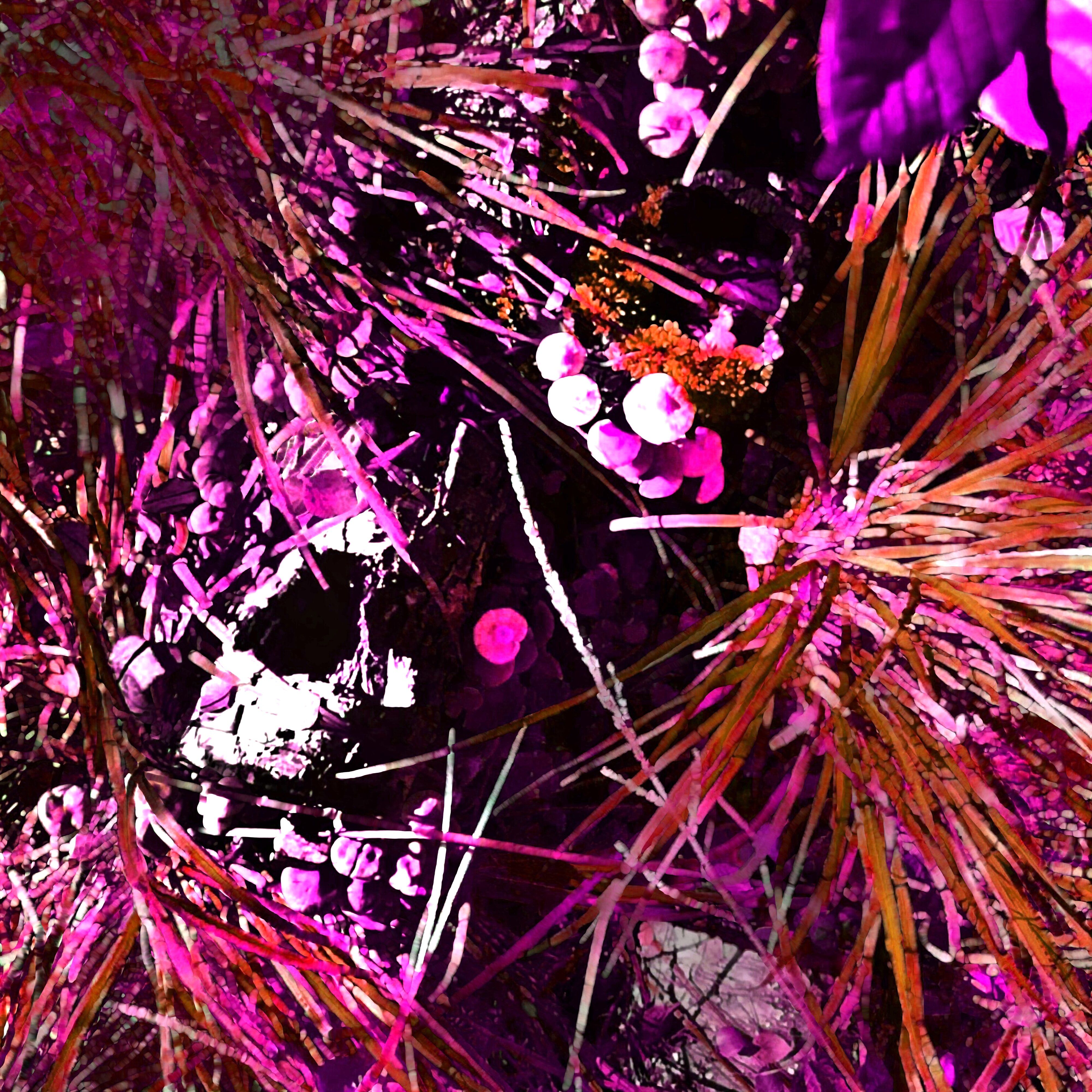 Plot u329hvj7f