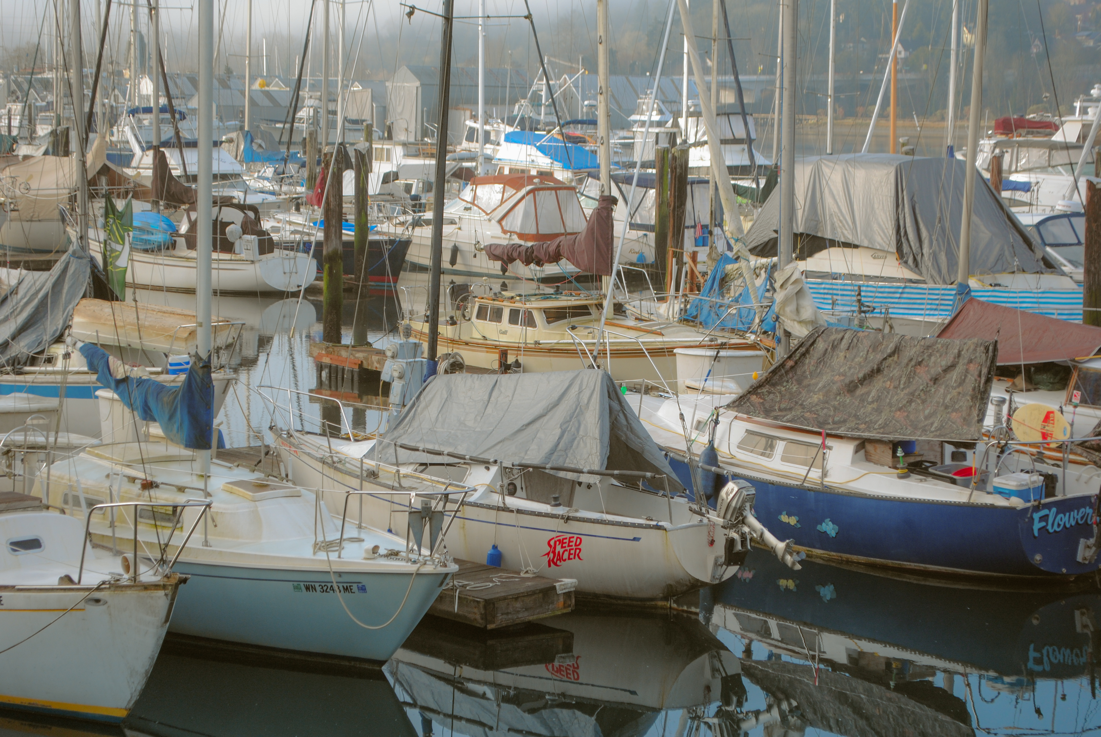 Percival Landing