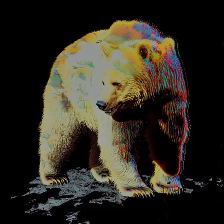 bear #4168