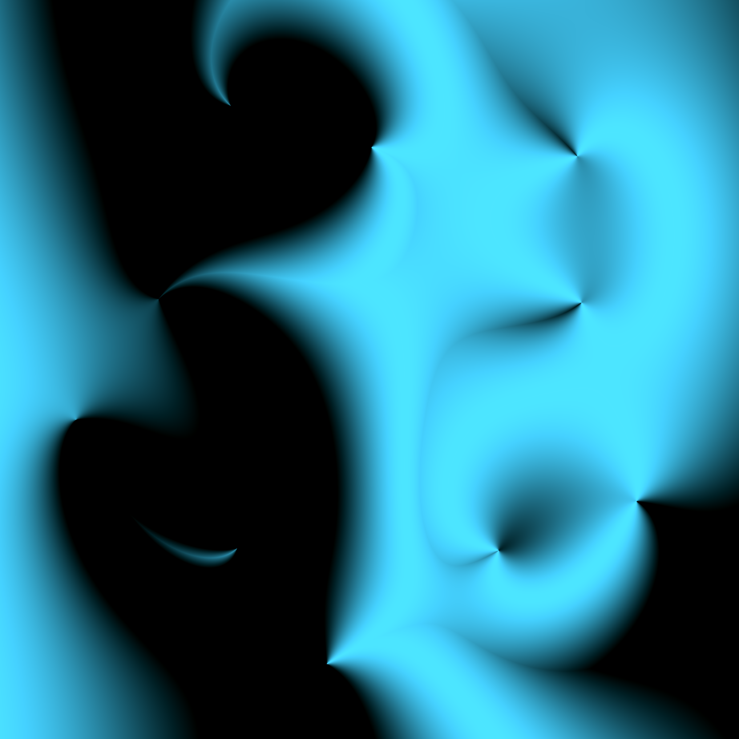 Blaschke Ballet #310