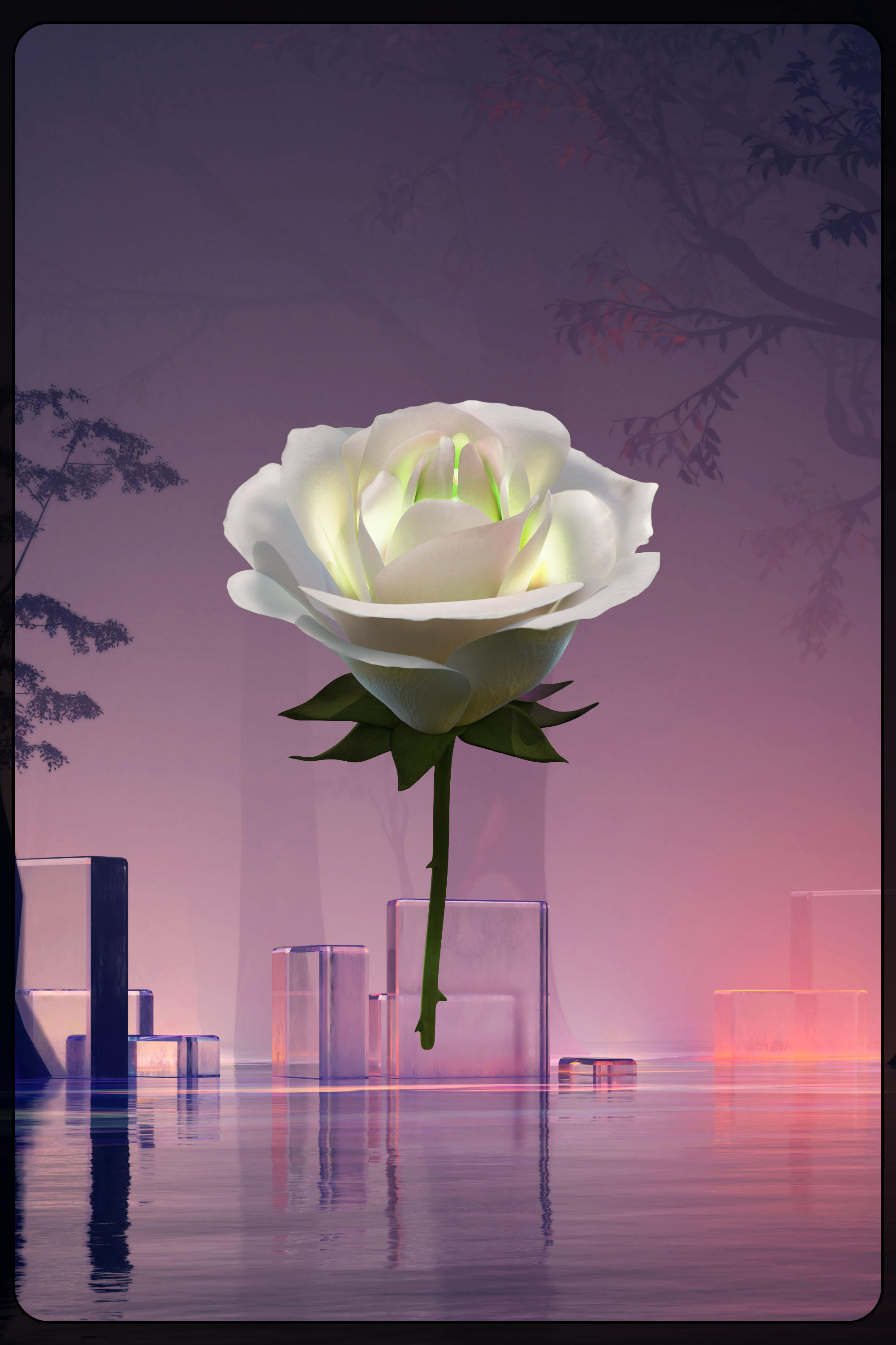 Eternal Rose 1025