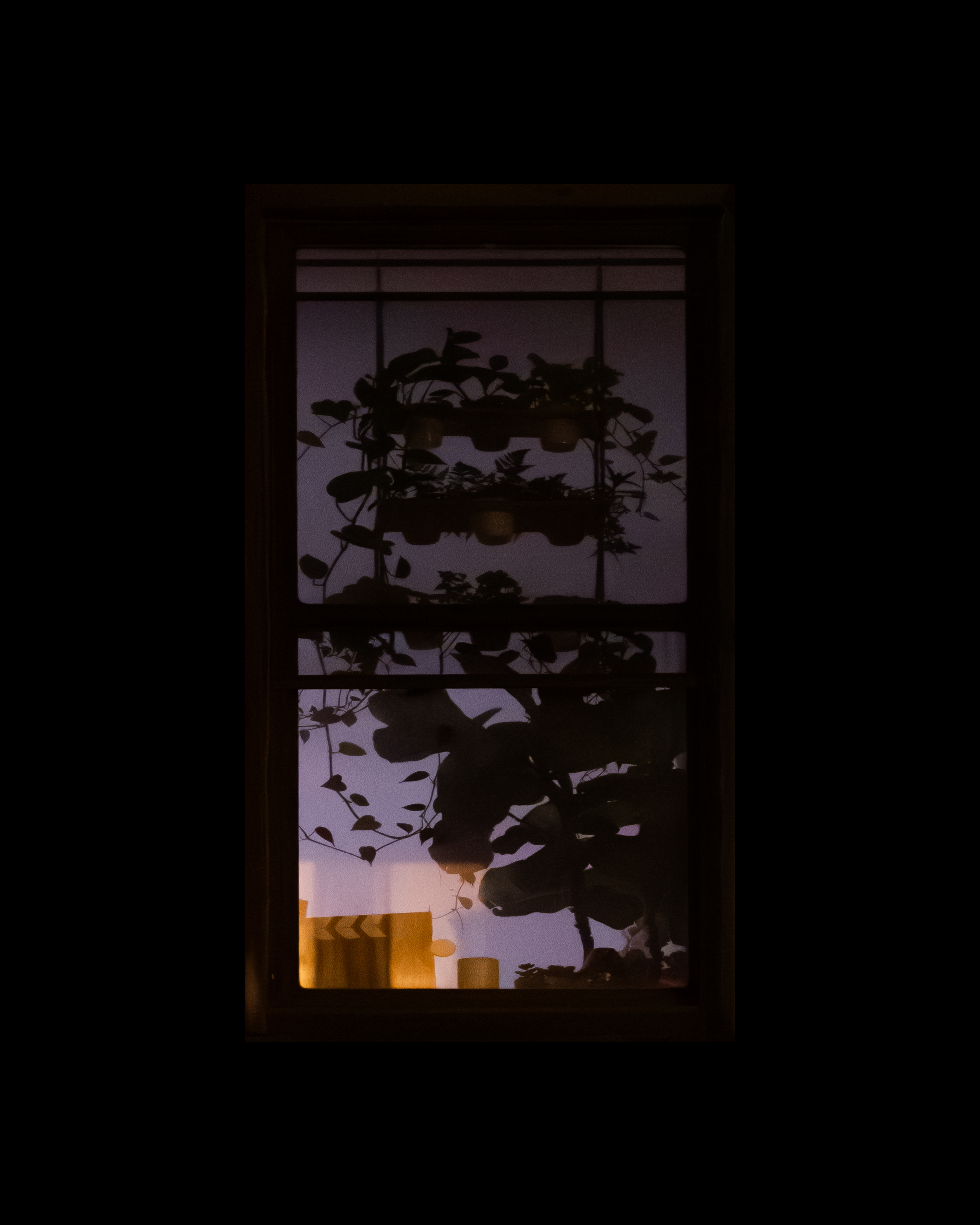 WINDOW 364