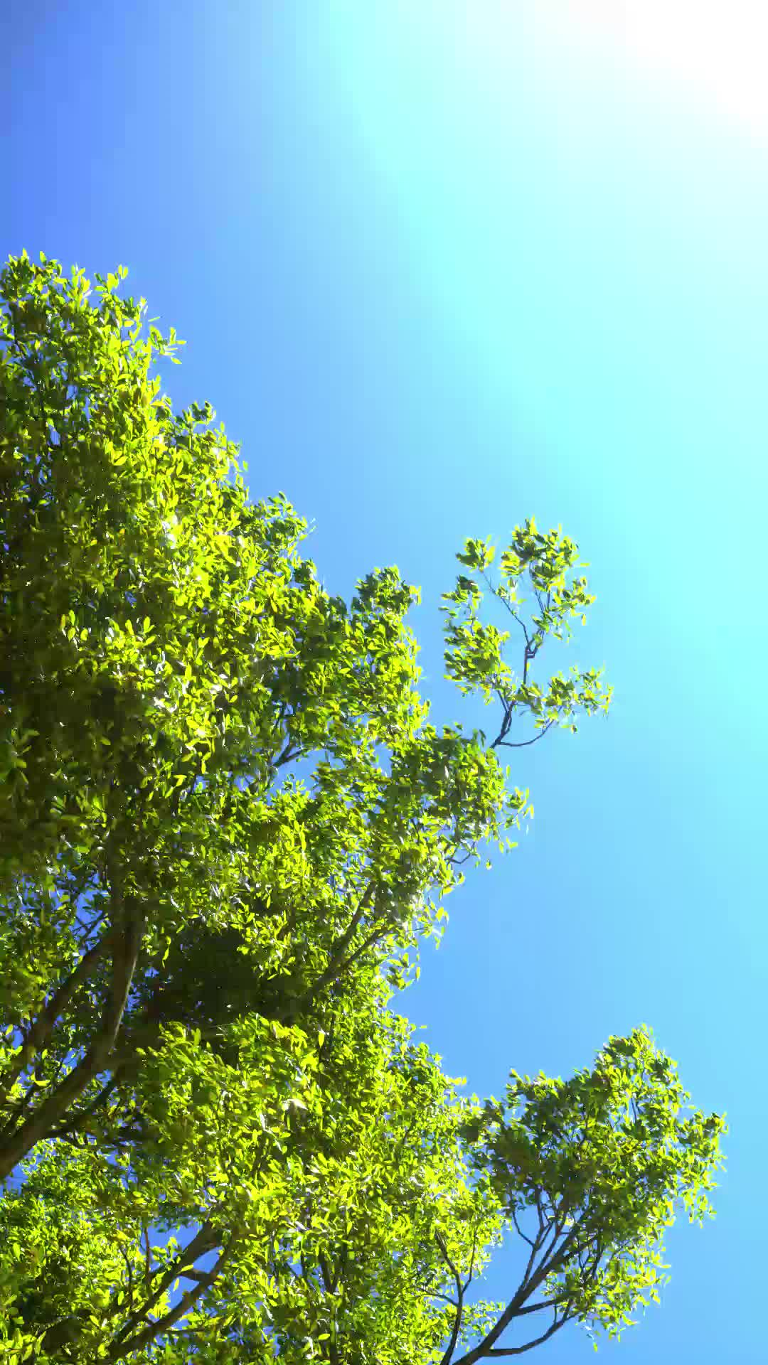 A Summer Breeze #7/10