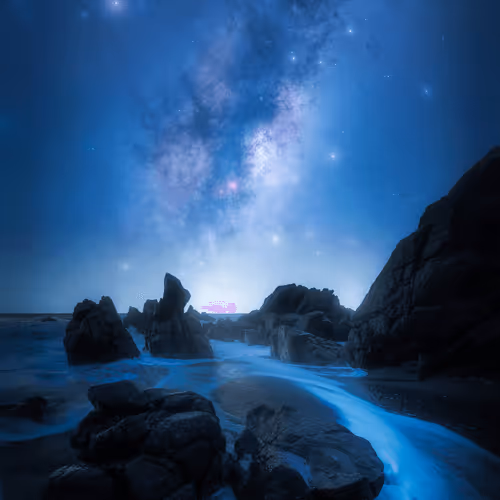 Sea