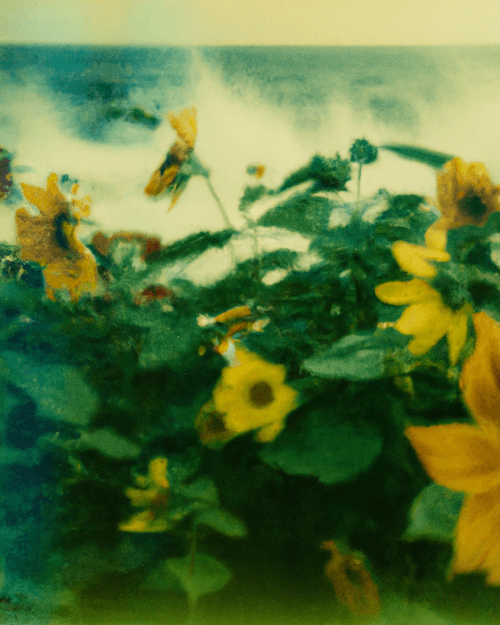 Tsunflower Chaos #190
