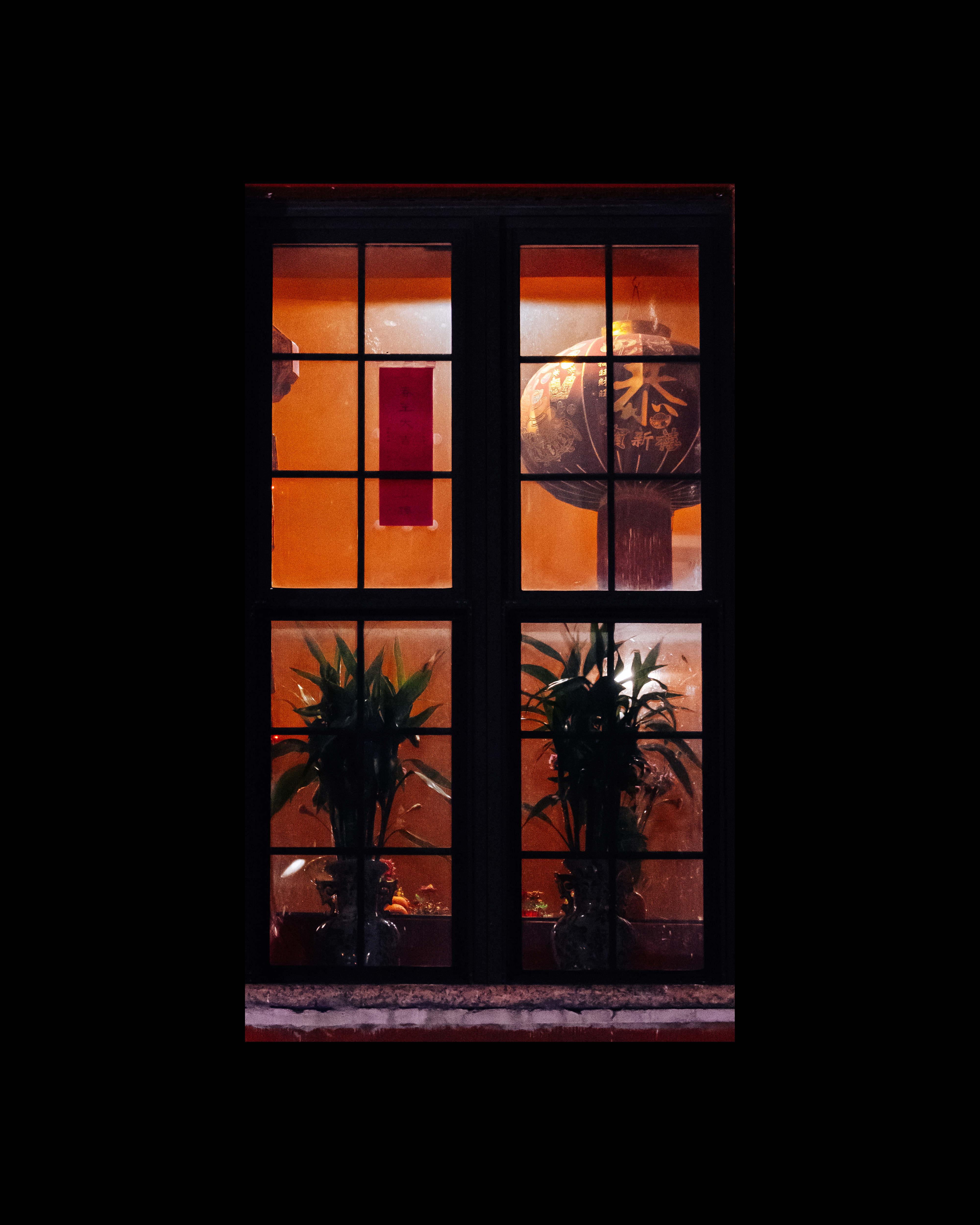 WINDOW 259