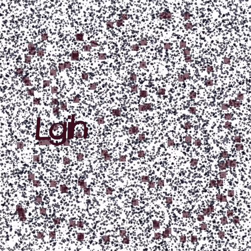Captcha #9362