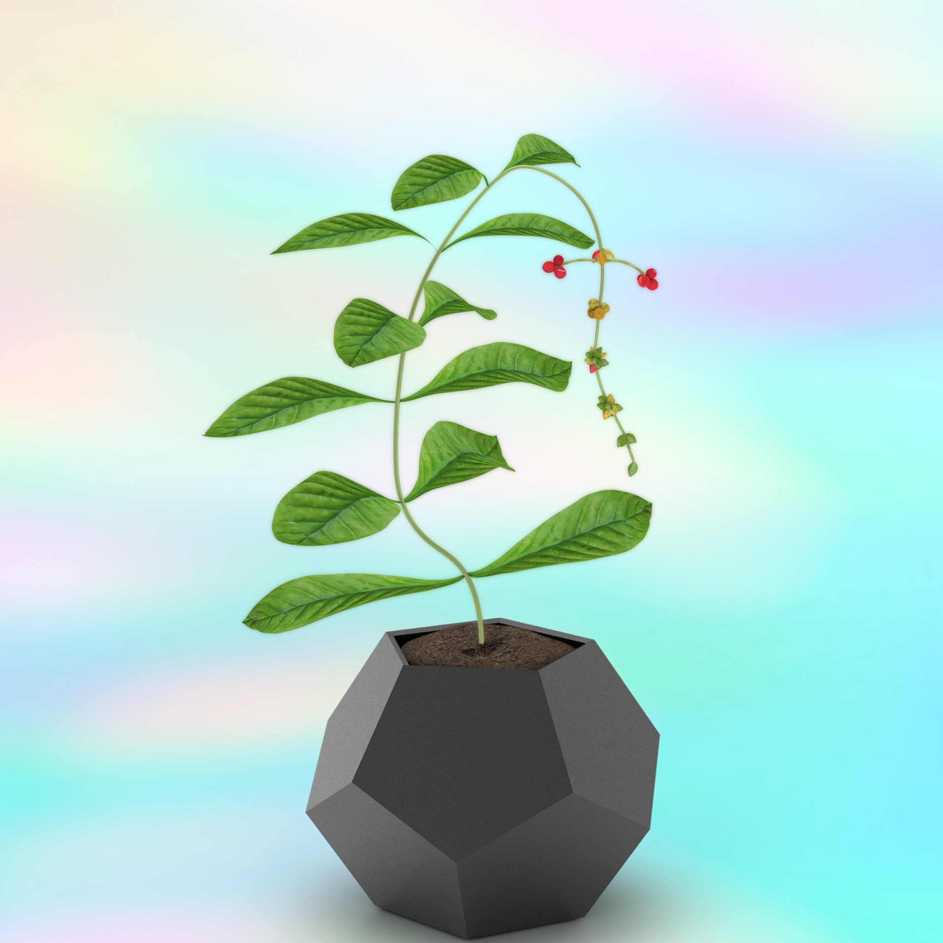 ∆FLORA #522