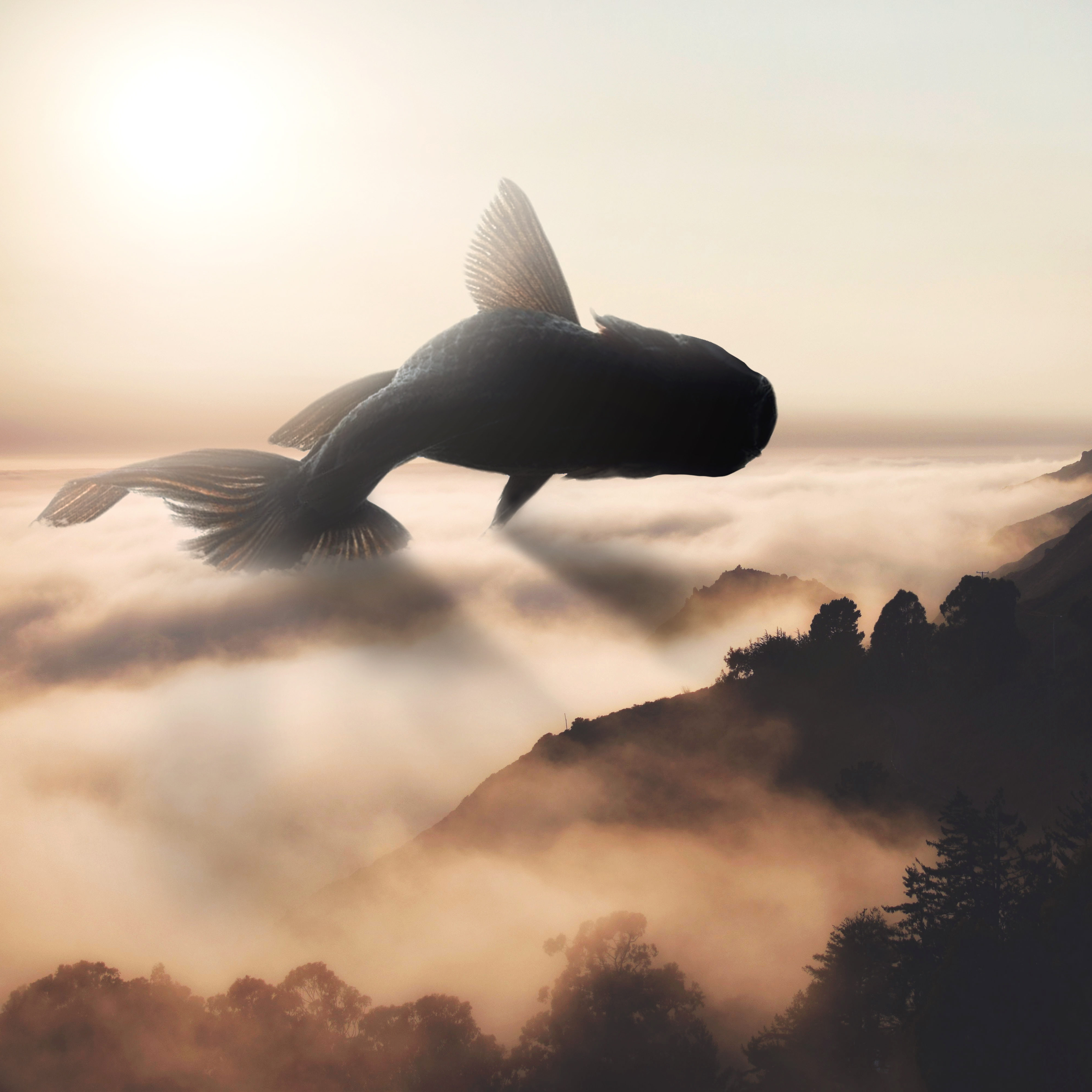 Big Fish #1/25