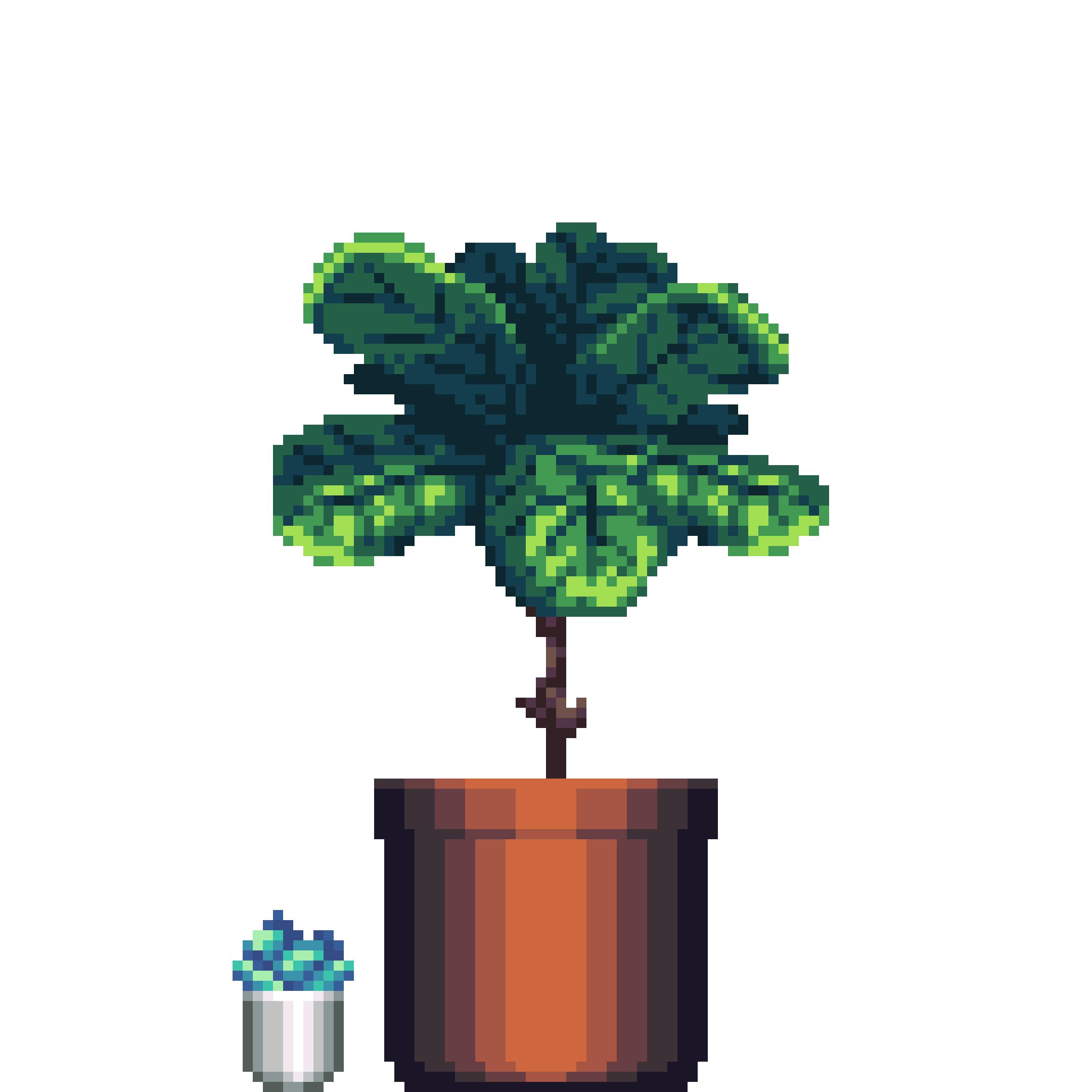 Fiddle-Leaf Fig in Large Clay pot with Mini Artichoke Agave